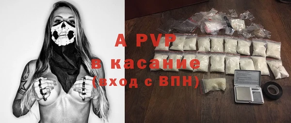 ГАЛЛЮЦИНОГЕННЫЕ ГРИБЫ Вязники