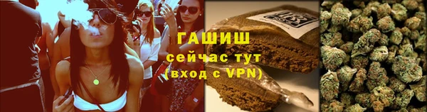 ГАЛЛЮЦИНОГЕННЫЕ ГРИБЫ Вязники