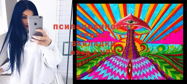ГАЛЛЮЦИНОГЕННЫЕ ГРИБЫ Вязники