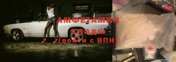 ГАЛЛЮЦИНОГЕННЫЕ ГРИБЫ Вязники