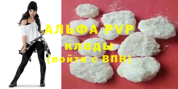 ГАЛЛЮЦИНОГЕННЫЕ ГРИБЫ Вязники