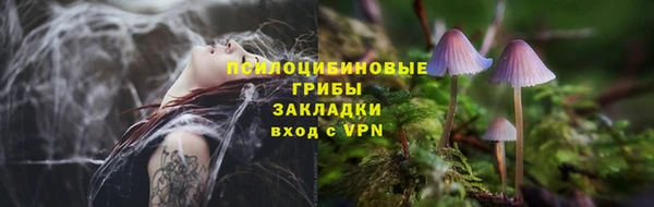 круглые Вяземский