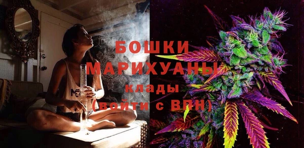 круглые Вяземский