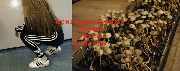ГАЛЛЮЦИНОГЕННЫЕ ГРИБЫ Вязники