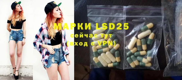 ГАЛЛЮЦИНОГЕННЫЕ ГРИБЫ Вязники
