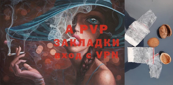круглые Вяземский