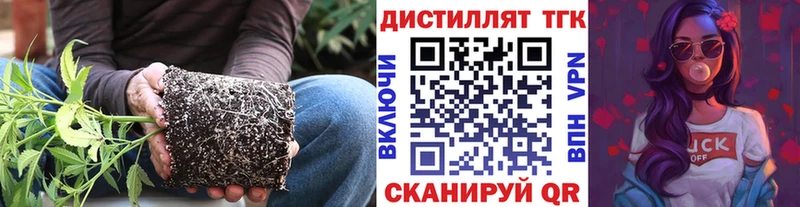наркошоп  Железногорск  ТГК THC oil 